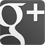 Logo Google +